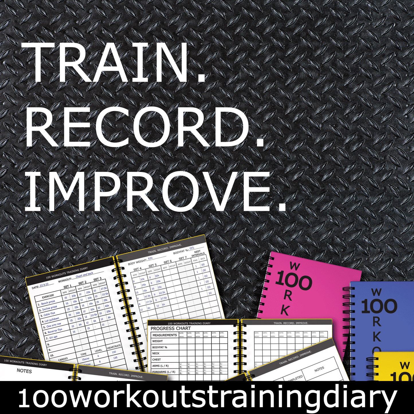 100 WORKOUTS TRAINING DIARY