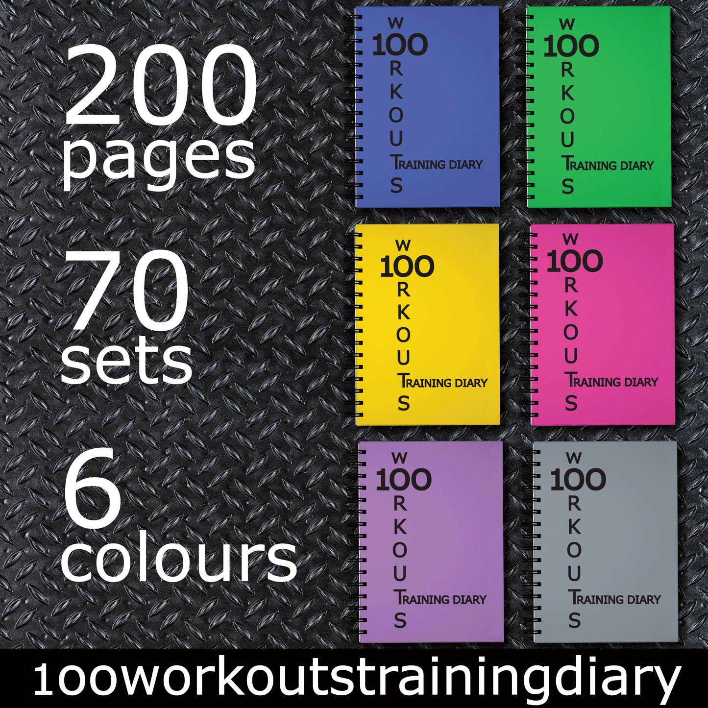 100 WORKOUTS TRAINING DIARY