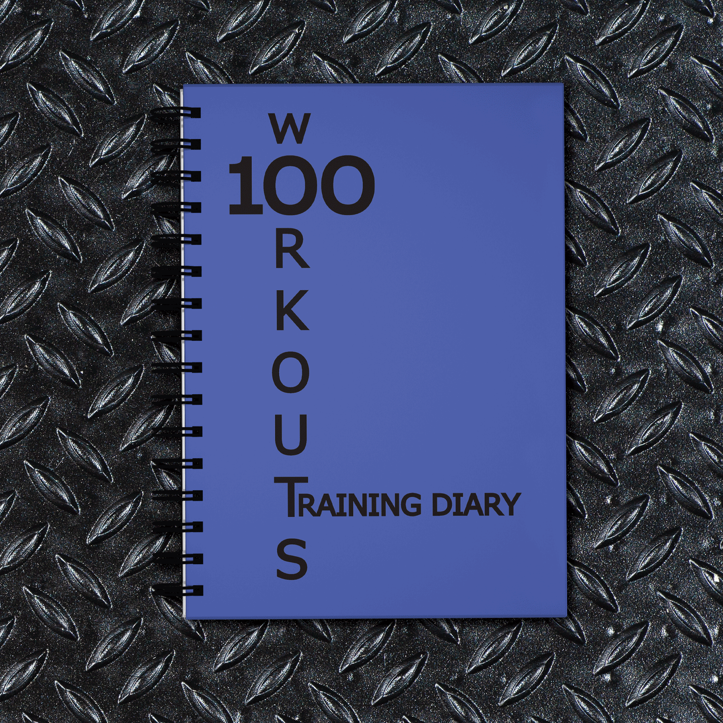 100 WORKOUTS TRAINING DIARY