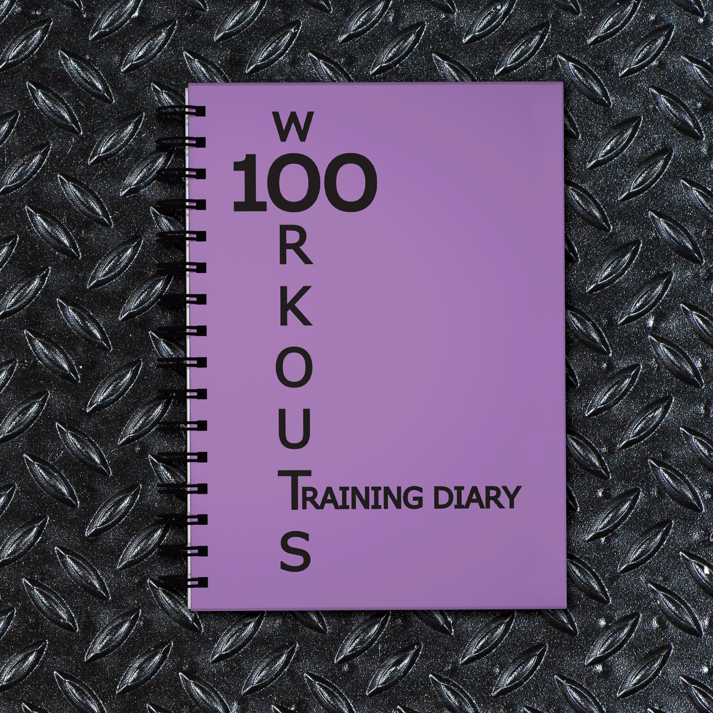 100 WORKOUTS TRAINING DIARY