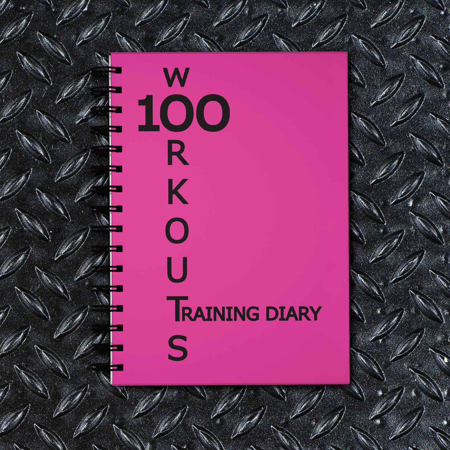 100 WORKOUTS TRAINING DIARY