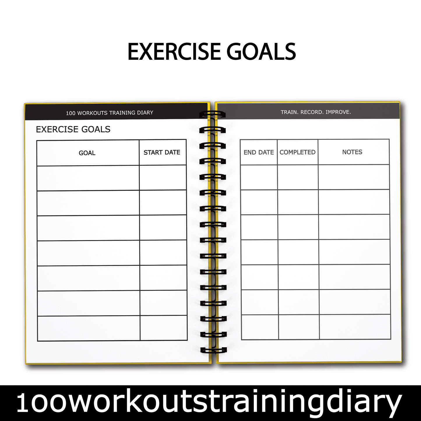 100 WORKOUTS TRAINING DIARY