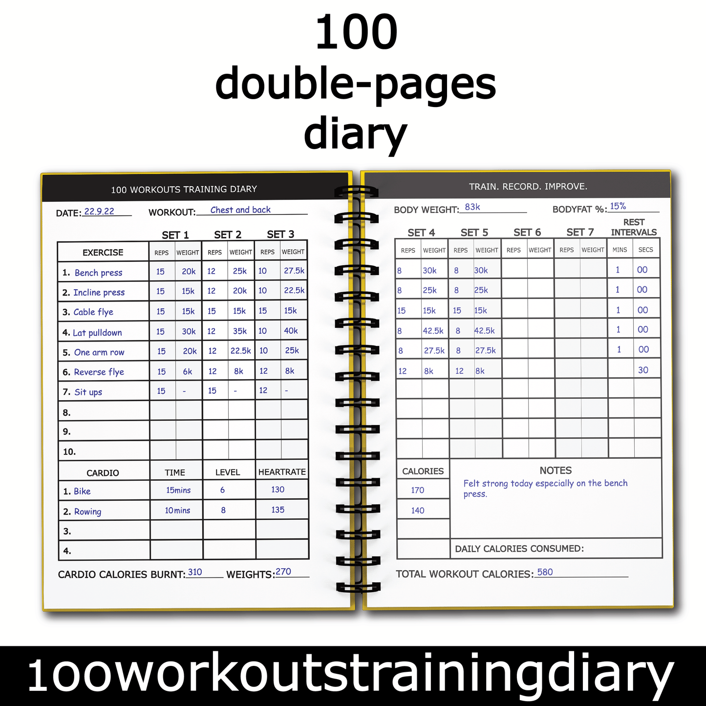 100 WORKOUTS TRAINING DIARY