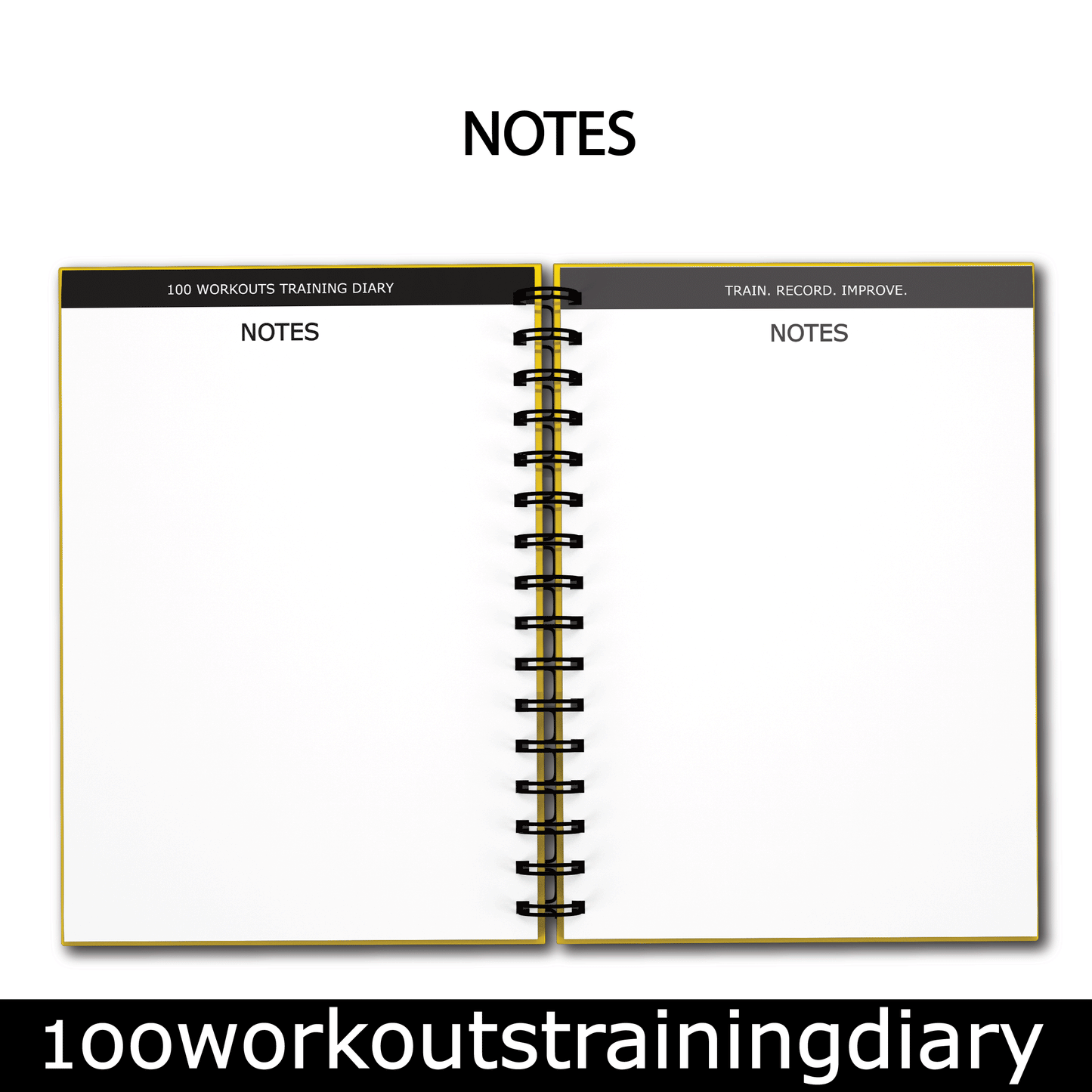 100 WORKOUTS TRAINING DIARY